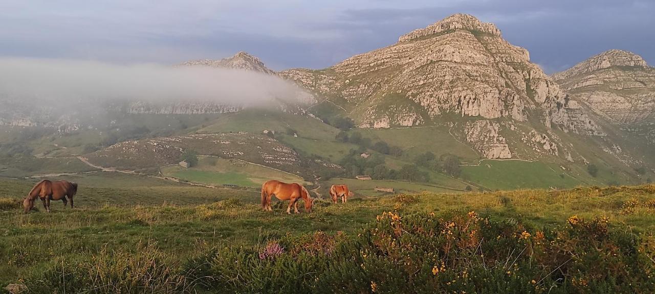 Posada Rio Cubas Cubas  Dış mekan fotoğraf