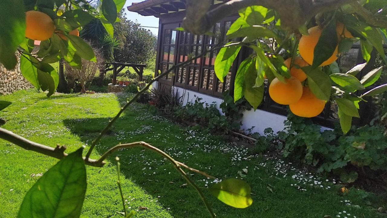 Posada Rio Cubas Cubas  Dış mekan fotoğraf